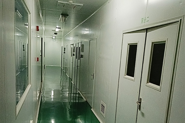 Traditional Skeleton Sustained-Release Tablet Case