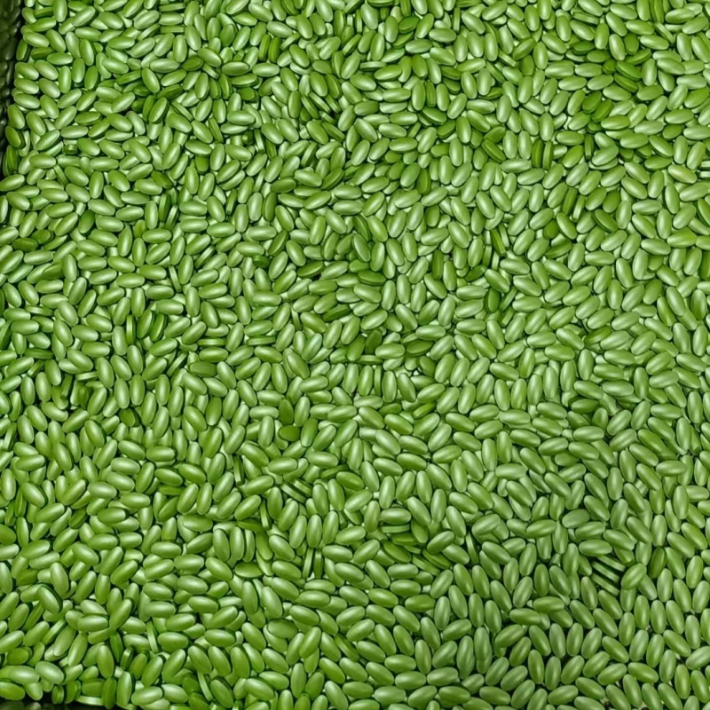 A New Choice For Health In Southeast Asia—Pearl Green Coated Vitamin + Amino Acid Tablets