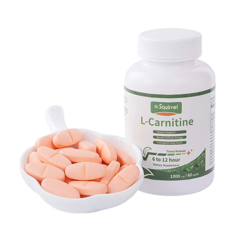 How does l-carnitine sustained release tablets achieve a long-lasting release effect?