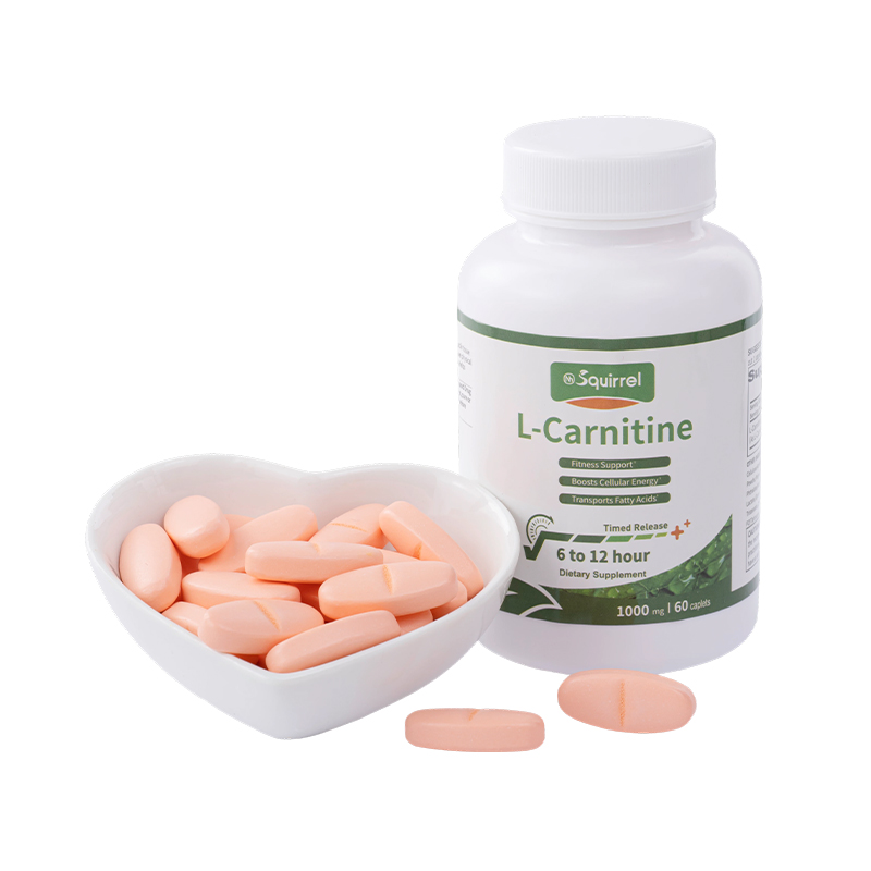 How do L-carnitine sustained-release tablets improve fat metabolism efficiency through sustained-release technology?